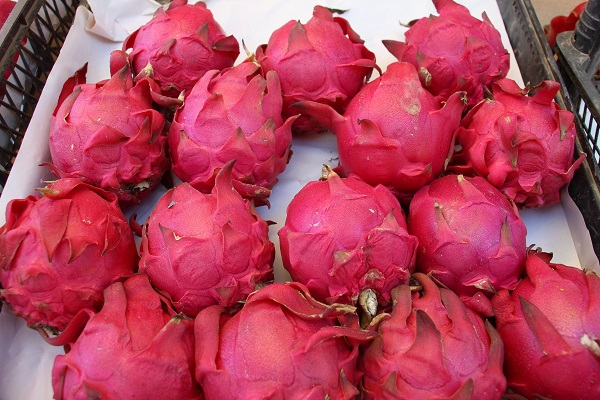 Kendi işinin patronu oldu! Bir meyve yedi hayatı değişti