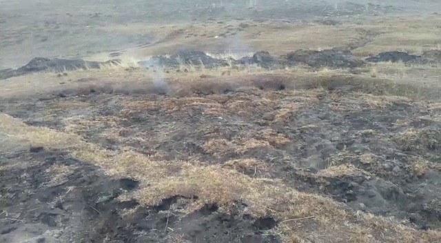 Kendi kendine neler oluyor neler! Bu toprağın sırrını henüz bilen yok