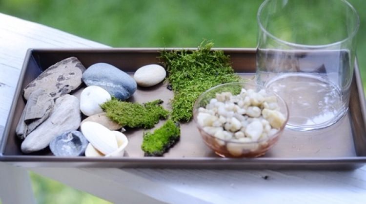 Kendi minyatür bahçenizi yapın