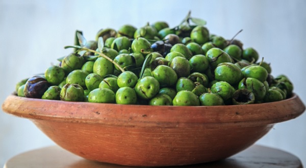 Kendi zeytininizi kendiniz kurmaya ne dersiniz?