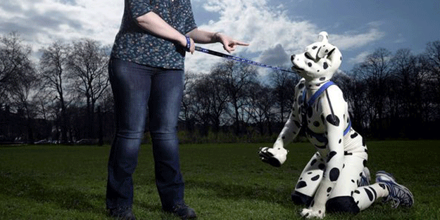 Oxford mezunu ama köpek olmak istiyor!