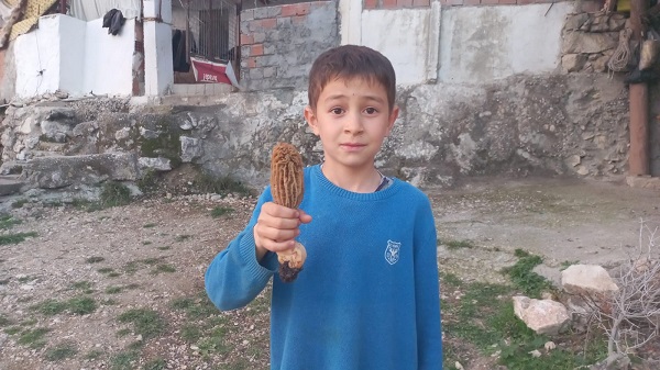 Kendiliğinden ormanda yetişiyor | Kilosu tam 1000 lira