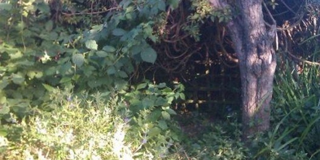 Kendine Hobbit deliği yaptı!