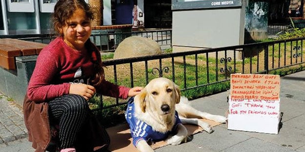 Kendini 1 TL'ye sevdiren köpek, günlük 180 lira kazanıyor