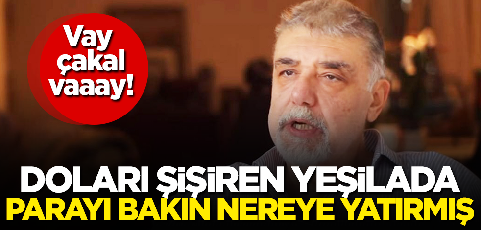 Kendini çok kötü ele verdi! Doları şişiren Atilla Yeşilada parayı bakın nereye yatırmış