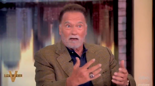 Kendisi de göçmen olan Arnold Schwarzenegger'den Amerikalılara ters köşe