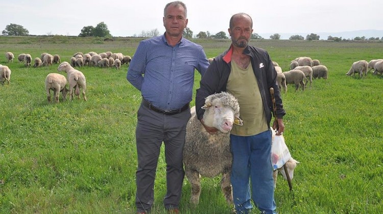 Kendisi 'koç', fiyatı 'dana!'