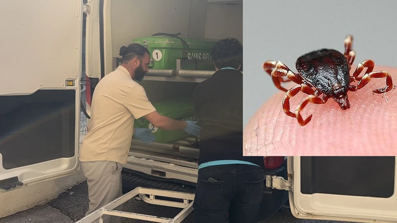 Kene kabusu tekrar ortaya çıktı! 2 çocuk annesi kadın hayatını kaybetti