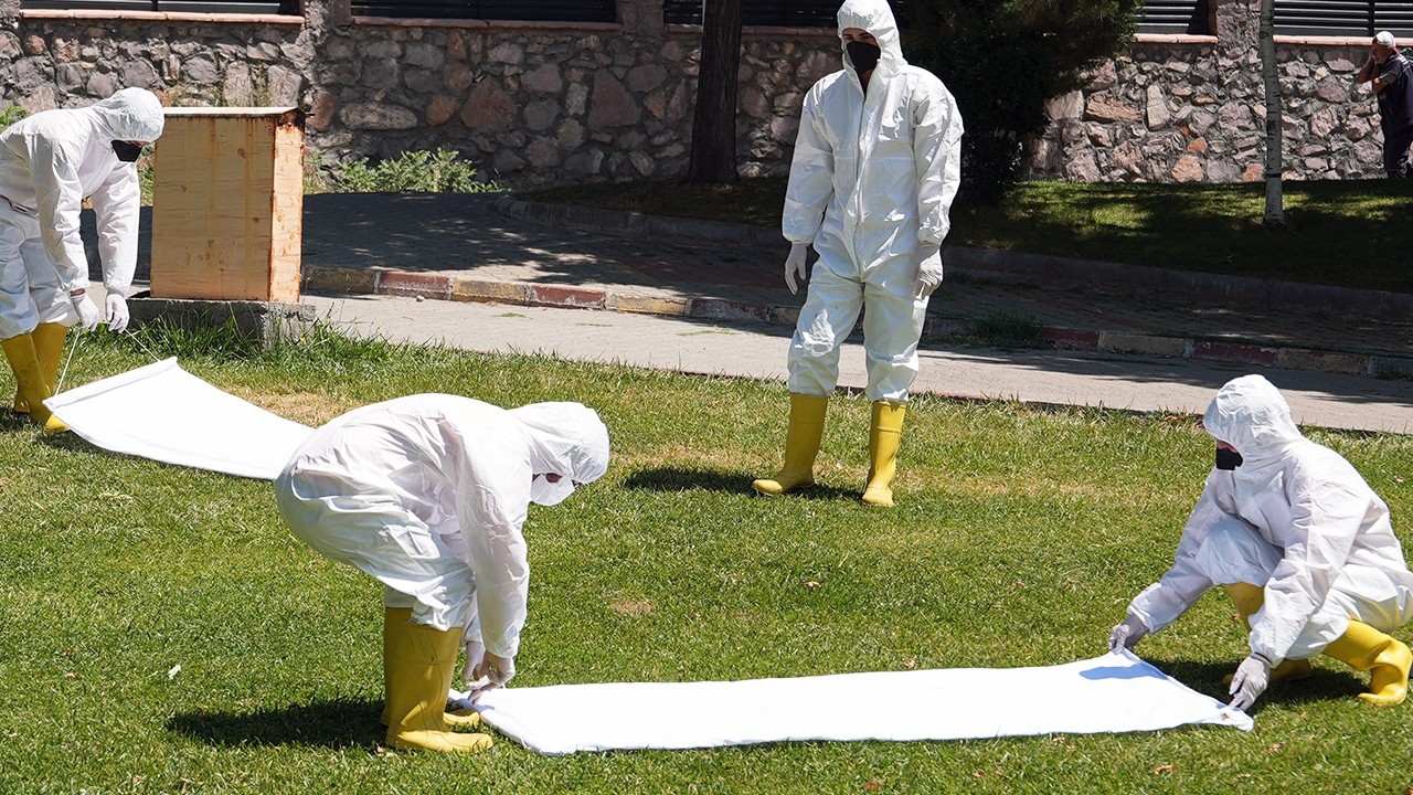 Kene Tehdidine Karşı Büyükşehir Sahada