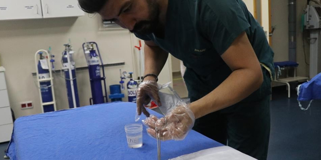 Kene tutulmalarına karşı önemli uyarı! Kene ısırığının belirtileri, kene nasıl çıkarılır?