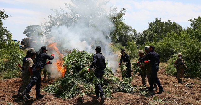 Kenevir eken çiftçiye hibe yok