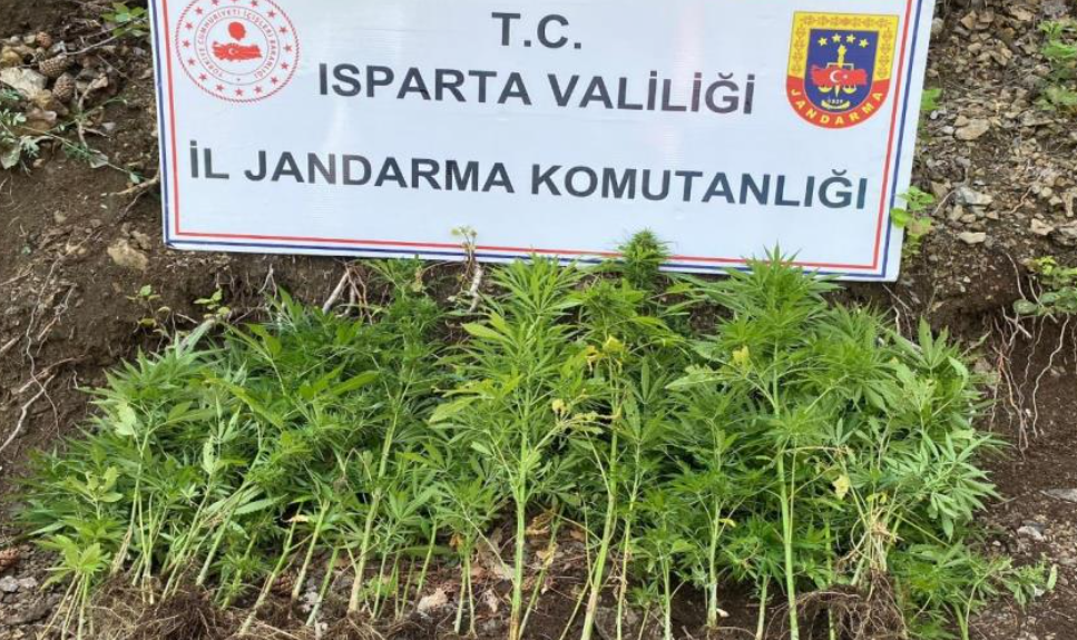 Kenevir eken şahsa ceza