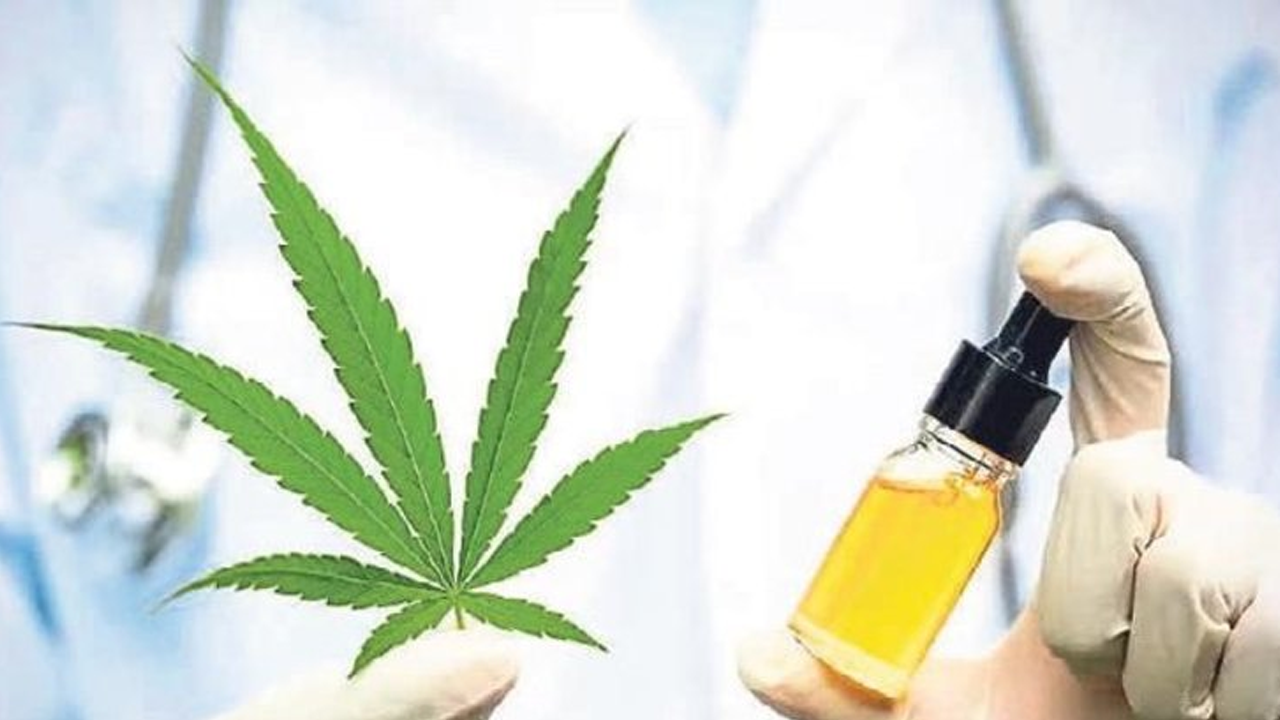 Kenevir mamülleri ile ilgili açıklama: Nerede satılacak?