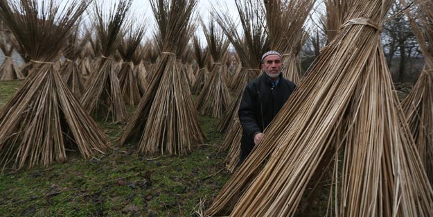 Kenevir üretiminde üniversite-üretici işbirliği modeli
