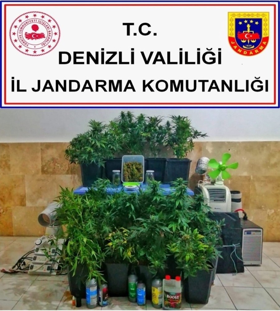 Kenevir yetiştirmek için kurdukları düzenek pes dedirtti 