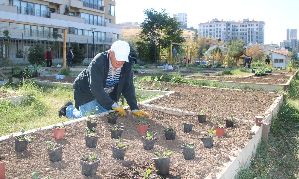 Kent tarımda 2019 sonbahar sezonu için kayıtlar başladı 