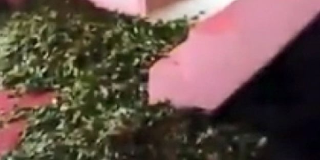 Kentteki tüm evlerin içi bununla dolup taştı!
