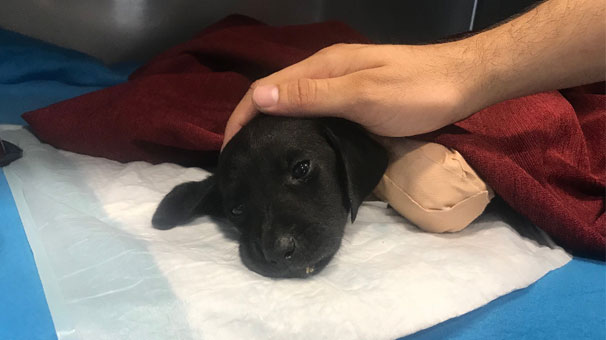 Kepçe operatörünün eşi isyan etti: Gerçek cani saklanıyor