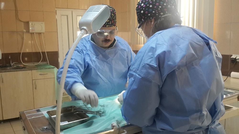 Kepez Belediyesi , sokak hayvanlarını sokakta bırakmıyor 