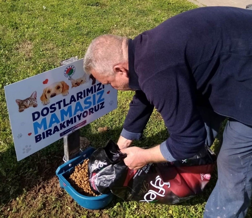 Kepez’da mama ve su kaplarının sayısı artırıldı 