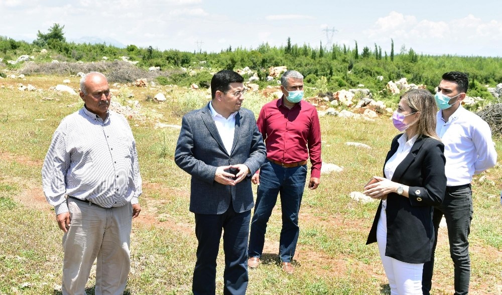 Kepez’e ‘Orman çiftliği’ geliyor 