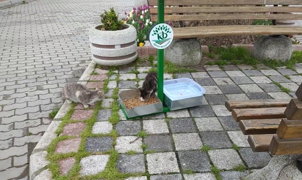 Kepsut Belediyesi can dostlarını unutmadı 