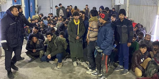 Kereste yüklü kamyonda 113 düzensiz göçmen yakalandı