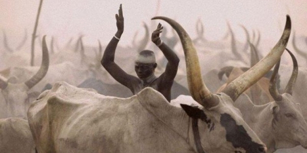 Keşfedilmemiş bir halk: Dinkalar