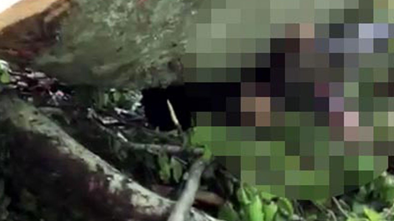 Kesim sırasında facia! Feci şekilde can verdi