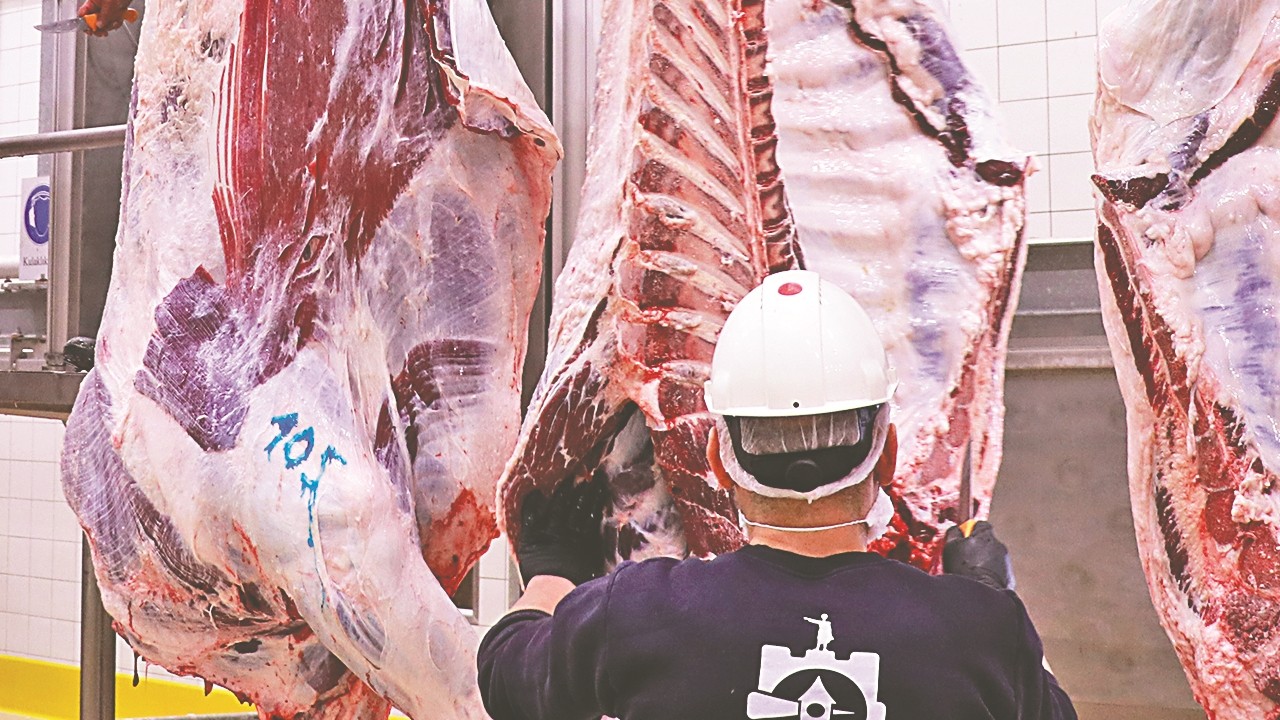 Kesimler iki katına çıktı