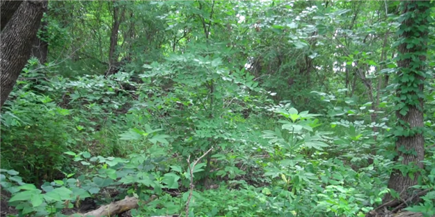 Keskin nişancıyı görebildiniz mi?