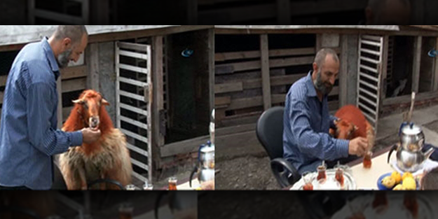 Kesmeye kıyamayınca birlikte kahvaltı yaptılar