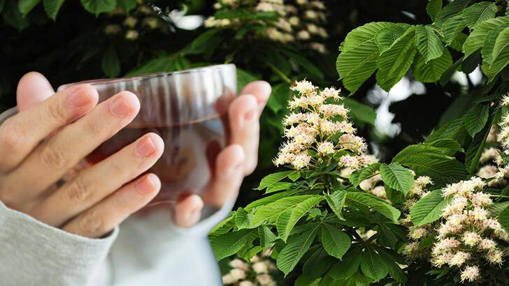 Kestane çiçeği çayının antioksidan seviyesi balından 50 kat yüksek çıktı