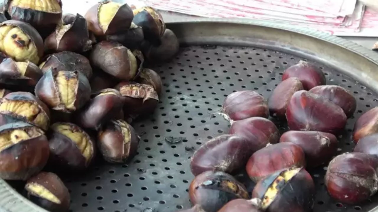 Kestane düşmanını yendiler! Arıya dayanıklı hasat başladı: Kilosu 350 TL, hem büyük hem de lezzetli