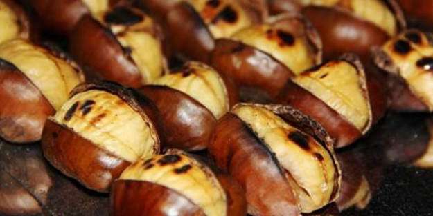 Kestane sevenlere kötü haber