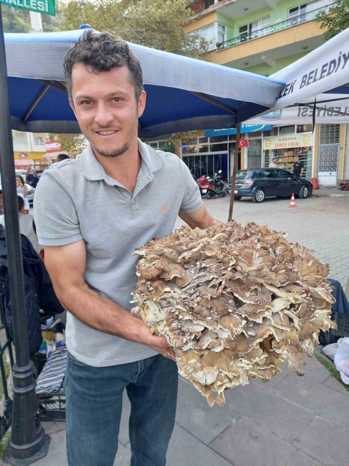 Kestane toplamaya çıktı, 17 kiloluk dev bir..