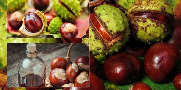 Kestane tüketimi vücuttaki toksinlerin atılmasını kolaylaştırıyor