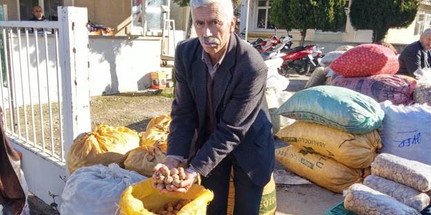 Kestane ve ceviz ambarı Tire