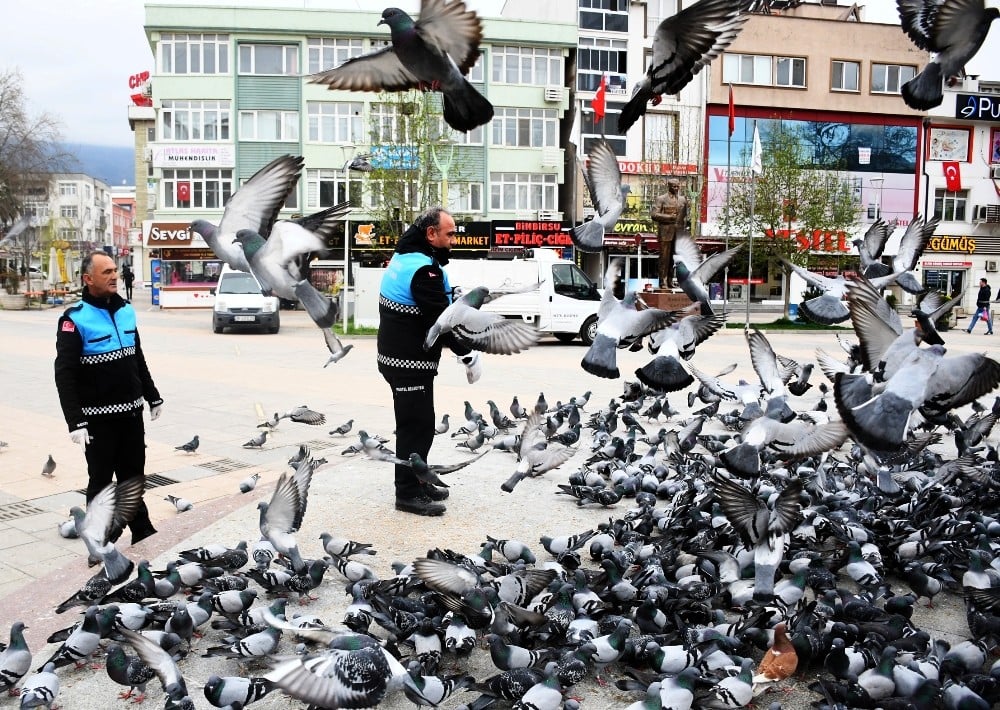 Kestel’de sokak hayvanları yalnız değil 