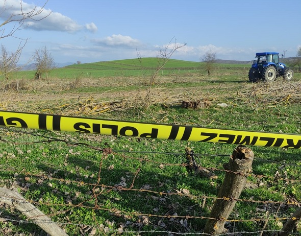 Kestiği ağaç ölümüne sebep oldu