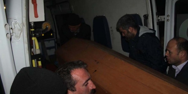 Kestiği ağaç sonu oldu!