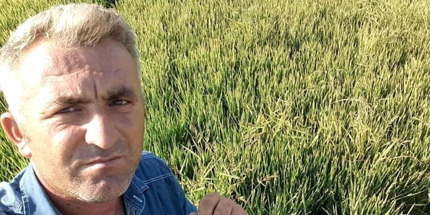 Kestiği ağacın altında hayatını kaybetti