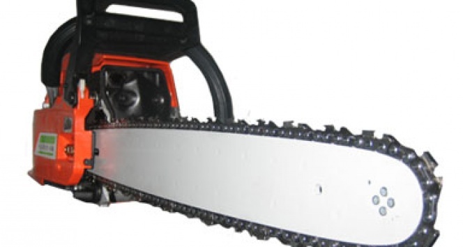 Kestiği ağacın altında kalarak yaşamını yitirdi