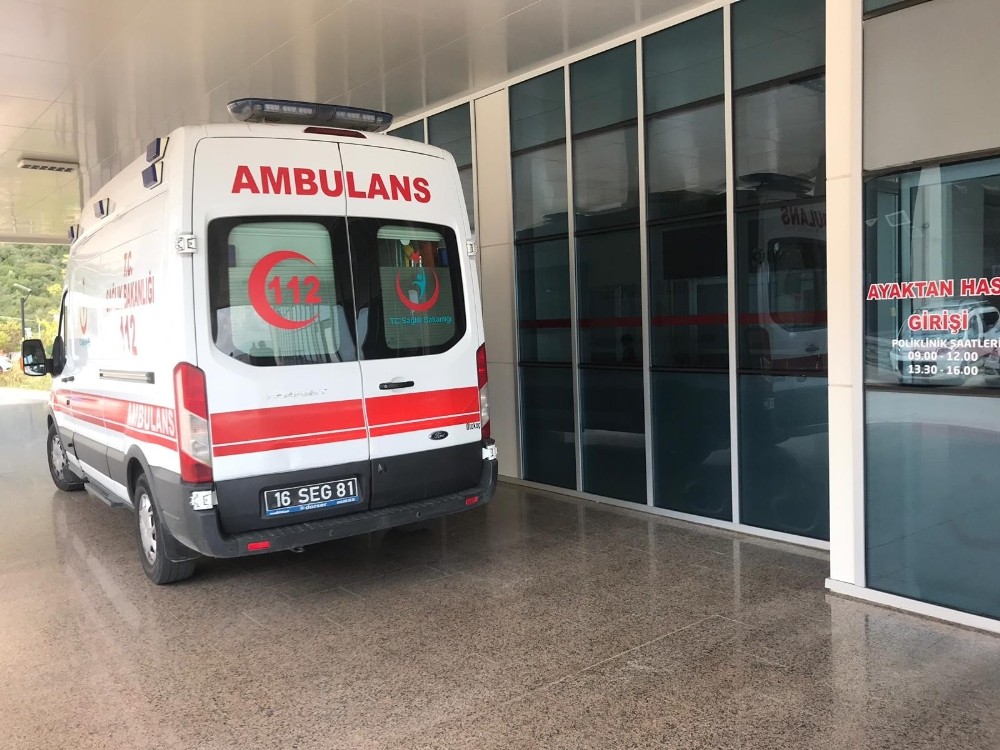 Kestiği ağacın dalı canına mal oldu 