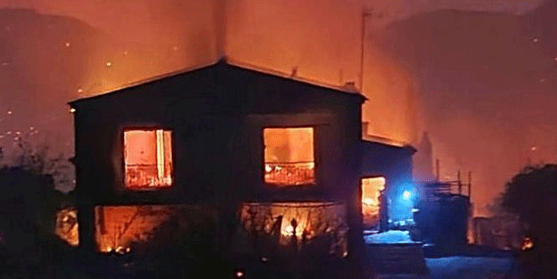 Kıbrıslı Rum yöneticiler insanlıktan çıktı!