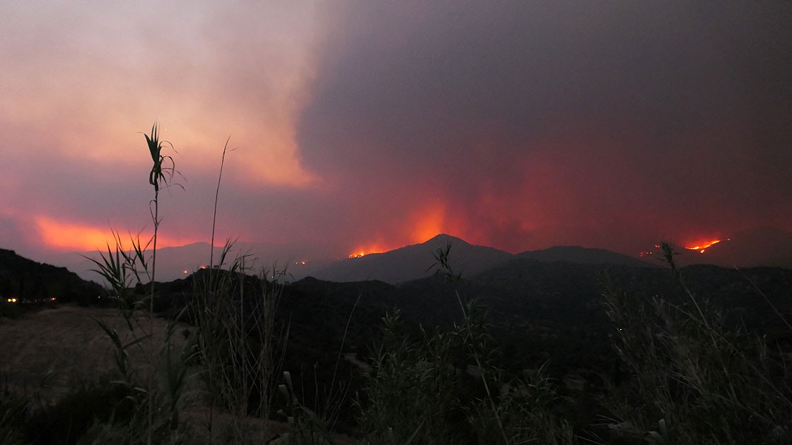 Kıbrıs’ta orman yangını: 2 ölü!