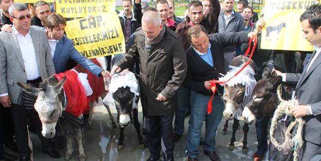 Kılıçdaroğlu eşeklere nikah şahidi olsun istediler