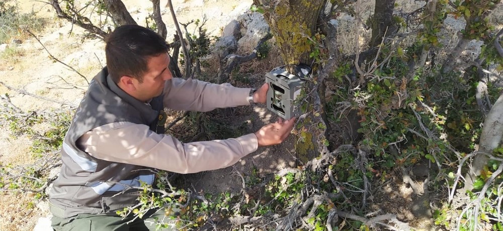 Kilis ormanlarına fotokopan yerleştiriliyor 