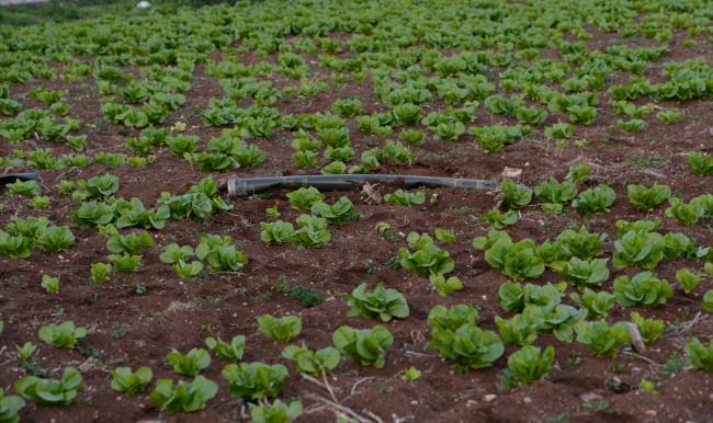 Kilis'e 3 roket mermisi düştü