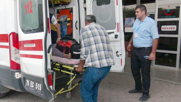 Kilis'te arının soktuğu kadın öldü
